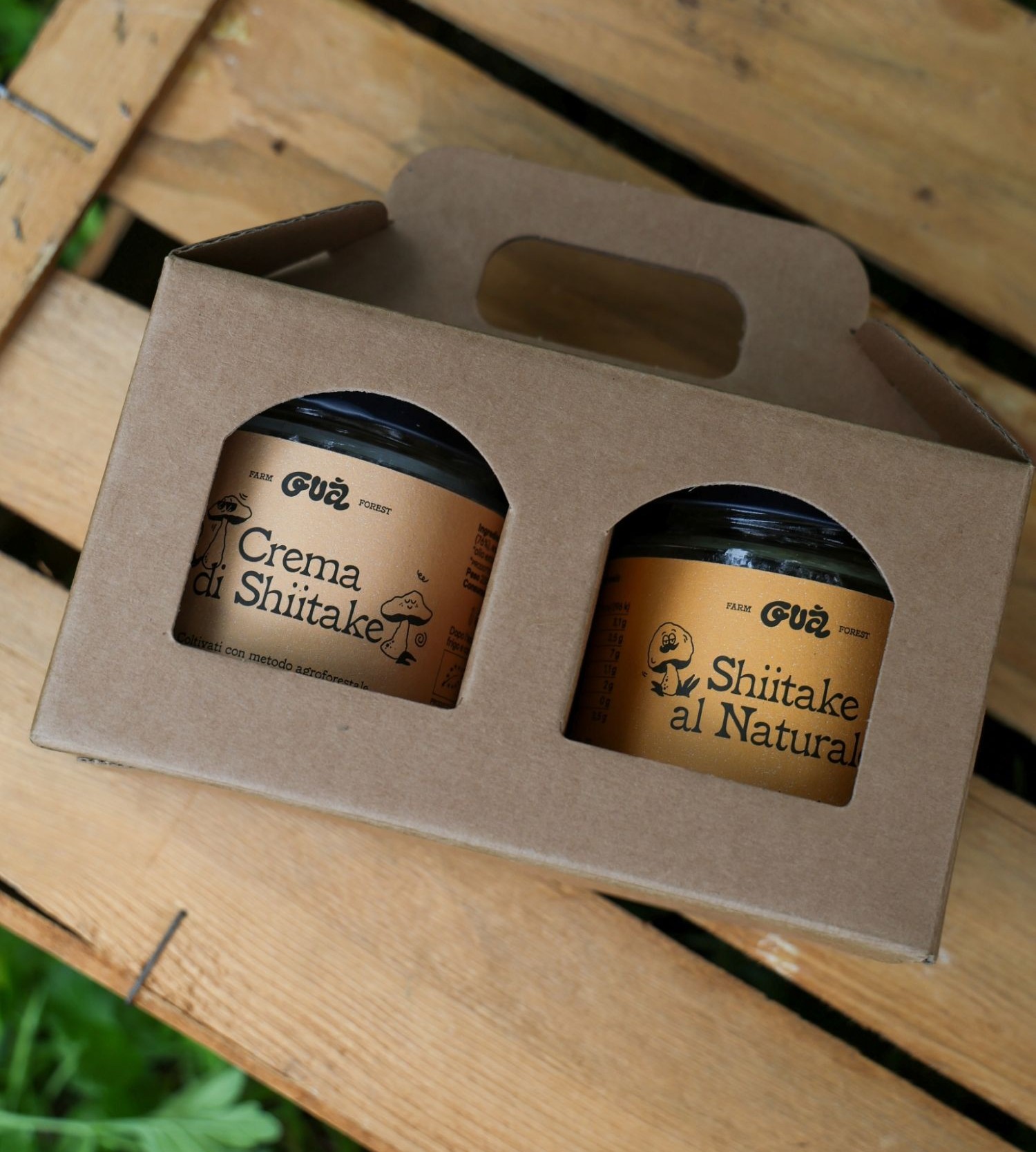 Cofanetto funghi shiitake